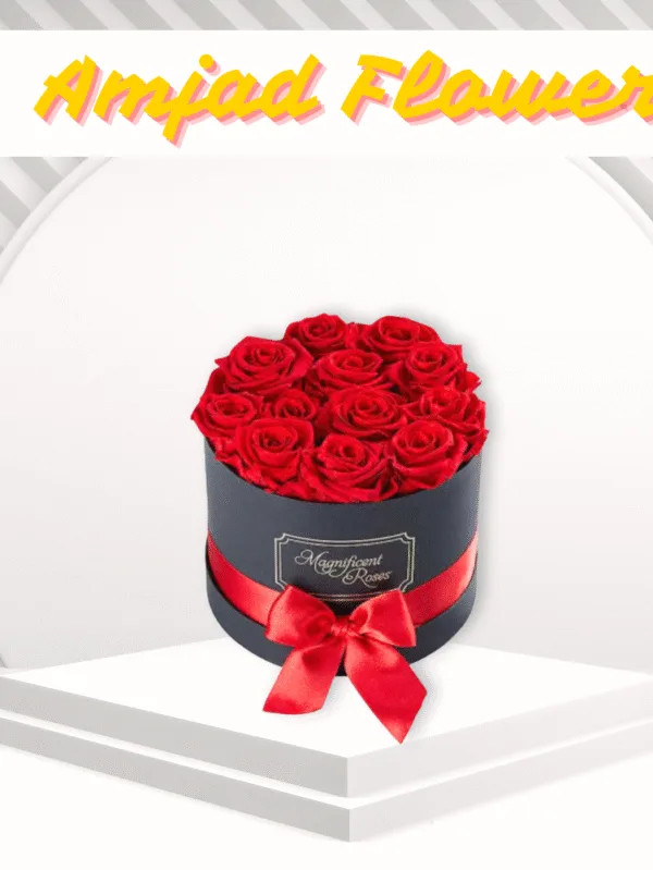 Balloon Rose Gift Box | Amjad Flower Shop