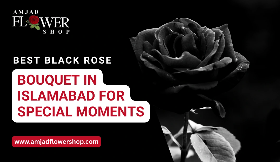 Best Black Rose Bouquet in Islamabad for Special Moments